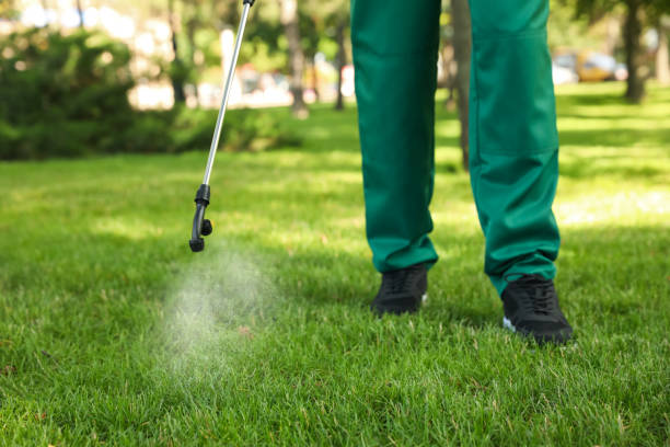 Best Pest Control Near Me  in Santa Moni, CA