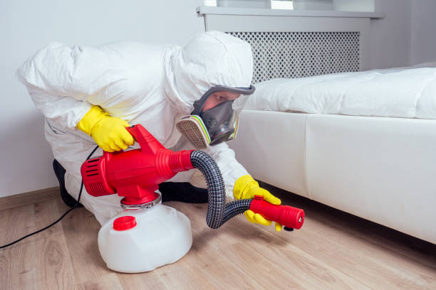 Best Pest Inspection Near Me  in Santa Moni, CA