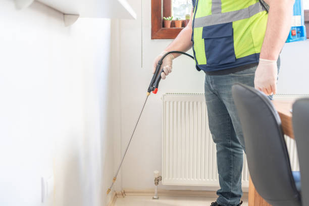 Best Flea Control Services  in Santa Moni, CA