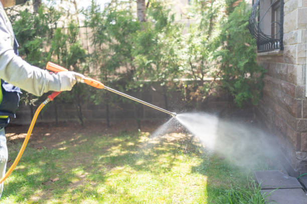 Reliable Santa Monica, CA Pest Control Solutions