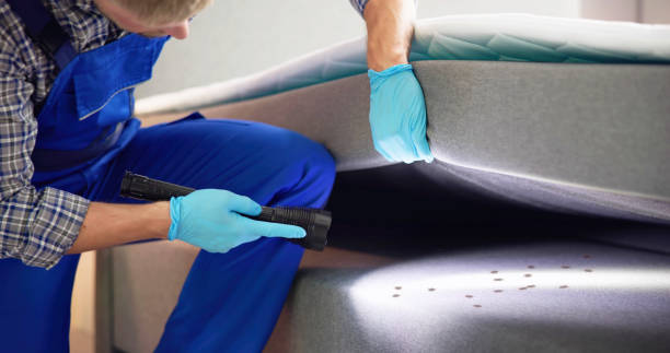 Best Pest Control Near Me in Santa Monica, CA