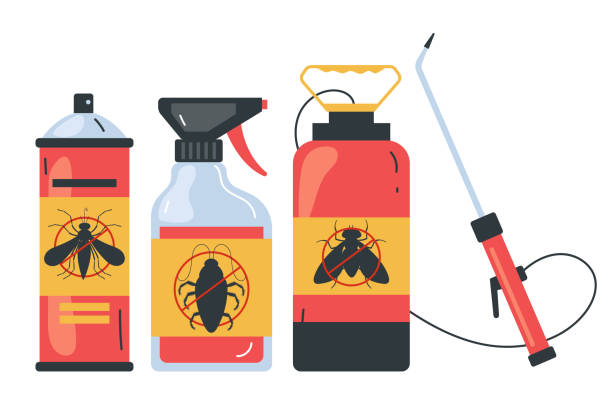 Best Spider Control Near Me  in Santa Moni, CA
